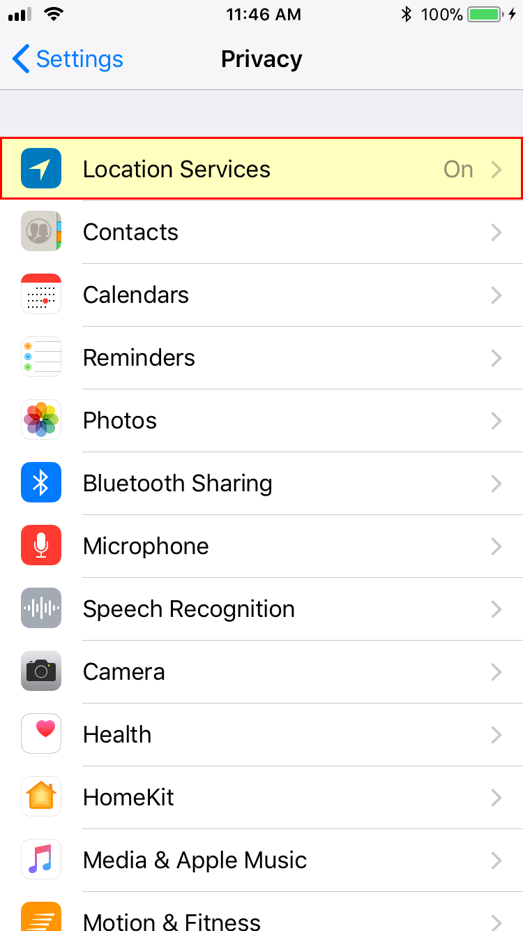iOS Privacy menu